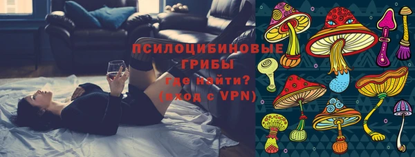 прущая мука Алзамай