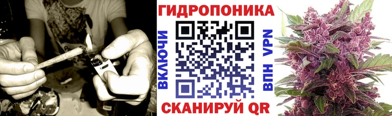 Бошки марихуана марихуана  Николаевск 